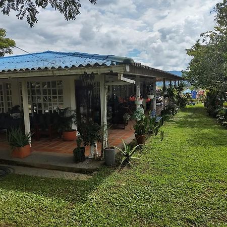 Villa Monica Montenegro Exterior foto
