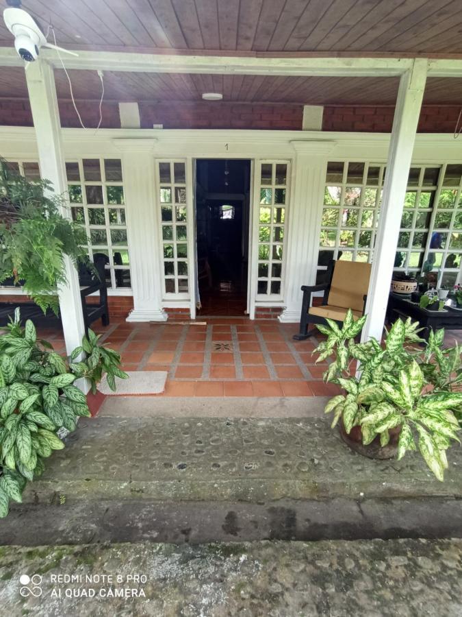 Villa Monica Montenegro Exterior foto